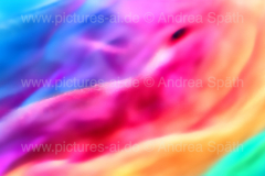 www.pictures-ai.de_Andrea-Spaeth_Hintergrund_abstrakt_008_WZ