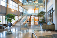 www.pictures-ai.de_Andrea-Spaeth_Hintergrund_Business_025_WZ