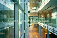 www.pictures-ai.de_Andrea-Spaeth_Hintergrund_Business_045_WZ