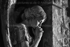 www.pictures-ai.de_Andrea-Spaeth_angels001_WZ