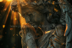 www.pictures-ai.de_Andrea-Spaeth_angels010_WZ