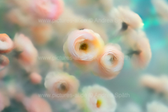 www.pictures-ai.de_Andrea-Spaeth_Hintergrund_floral_020_WZ