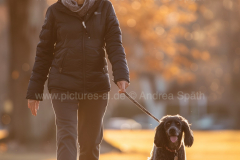 www.pictures-ai.de_Andrea-Spaeth_walking-with-dog008_WZ