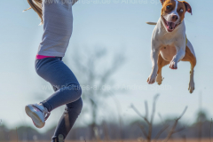 www.pictures-ai.de_Andrea-Spaeth_Kind_Hund_spielen_017_WZ