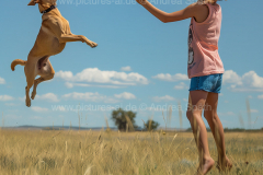 www.pictures-ai.de_Andrea-Spaeth_Kind_Hund_spielen_018_WZ