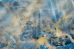 www.pictures-ai.de_Andrea-Spaeth_Hintergrund_marmoriert_013_WZ