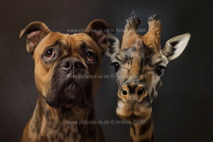 www.pictures-ai.de_Andrea-Spaeth_Giraffe_Hund_011_WZ