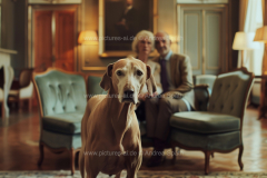www.pictures-ai.de_Andrea-Spaeth_HundebesitzerInnen_019_WZ