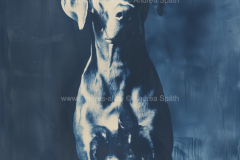 www.pictures-ai.de_Andrea-Spaeth_Hundeportraits_027_WZ