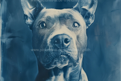 www.pictures-ai.de_Andrea-Spaeth_Hundeportraits_039_WZ