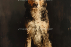 www.pictures-ai.de_Andrea-Spaeth_Hundeportraits_050_WZ